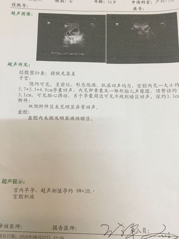 journal_insert_pic_556716617