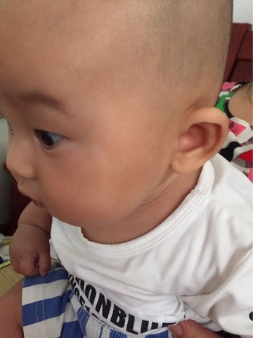 journal_insert_pic_559271436