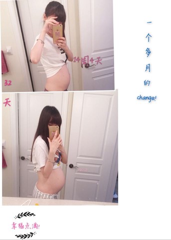 journal_insert_pic_558920419
