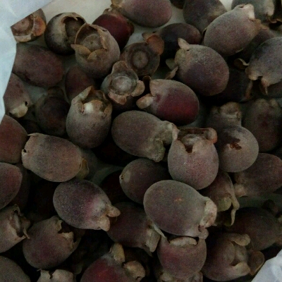 多尼果的功效 宝宝树
