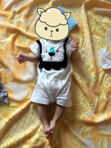 journal_insert_pic_564573353