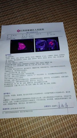 journal_insert_pic_573608702