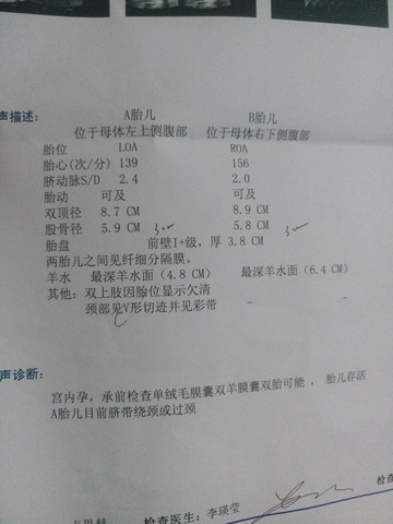 journal_insert_pic_590504975