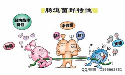 journal_insert_pic_610247097