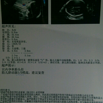 journal_insert_pic_647485652
