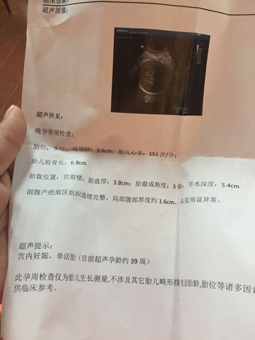 journal_insert_pic_648598550