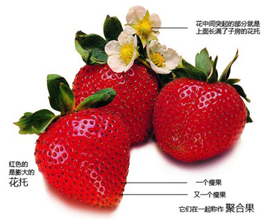 journal_insert_pic_653092209
