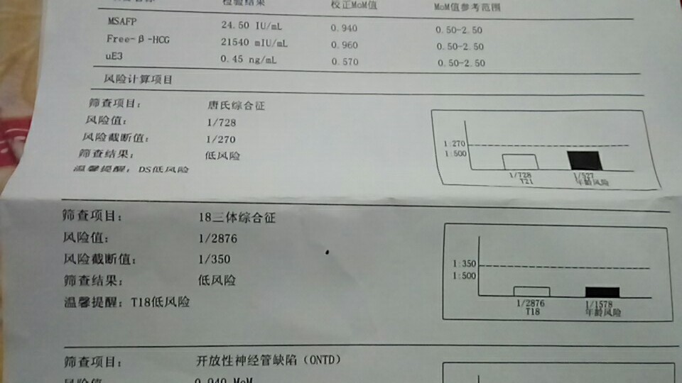 journal_insert_pic_689609609