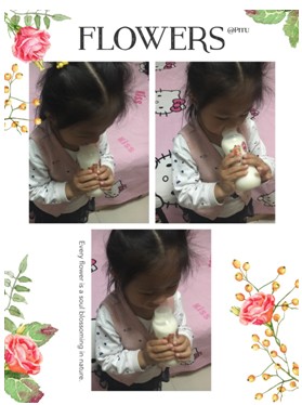 journal_insert_pic_743783006