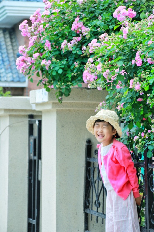 journal_insert_pic_762448081