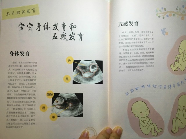 journal_insert_pic_767415703