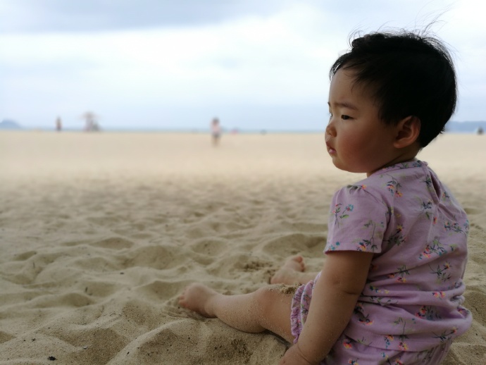 journal_insert_pic_783240333