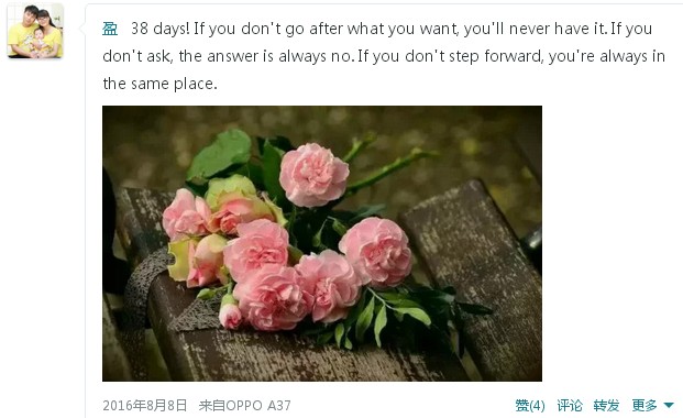 journal_insert_pic_792174570