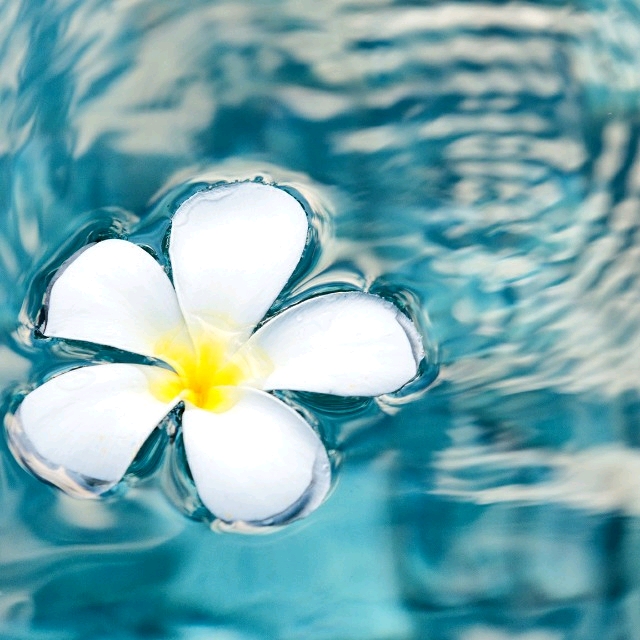 专业看命中子女缘分