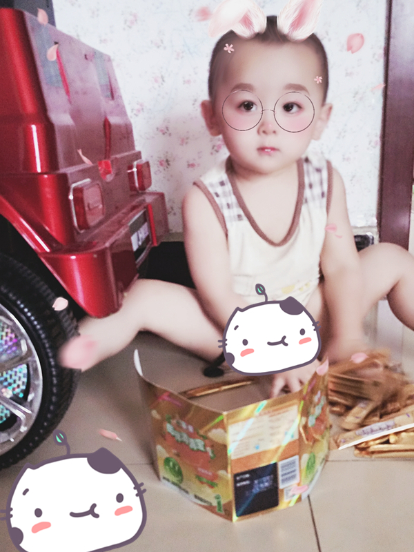 journal_insert_pic_800122371