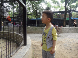 journal_insert_pic_827935708