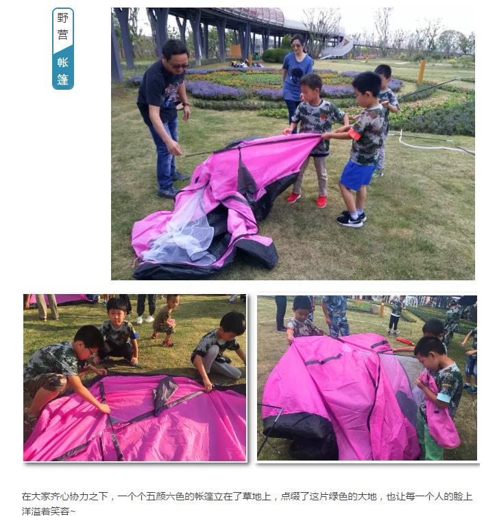 journal_insert_pic_842907039