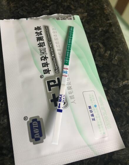 journal_insert_pic_889449554