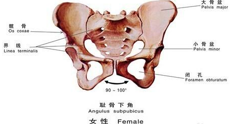 微信截图_20171227144901.png