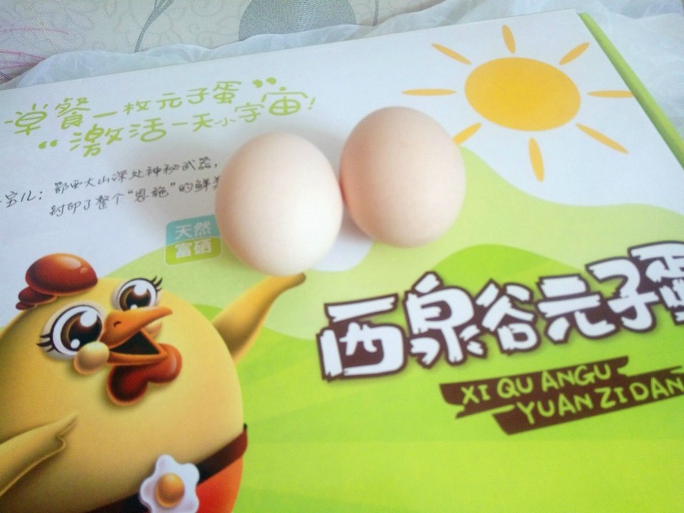journal_insert_pic_917662448