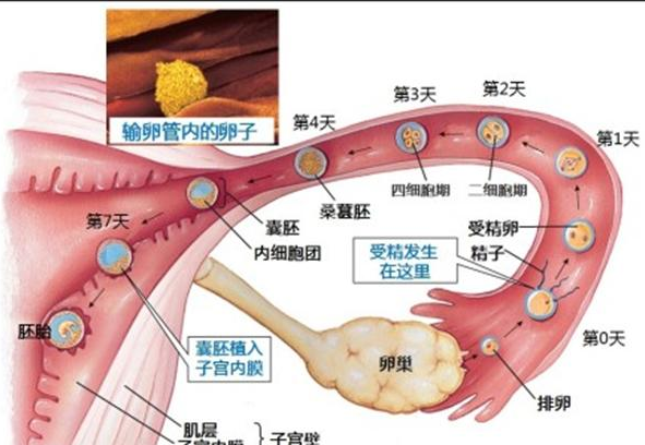 微信截图_20180122193538.png
