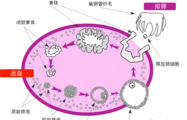 微信截图_20180122201542.png