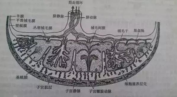 微信截图_20180122170106.png