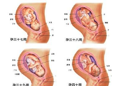 微信截图_20180123132810.png
