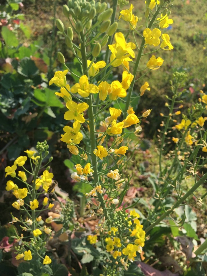 福州厦门游--南靖土楼一日游