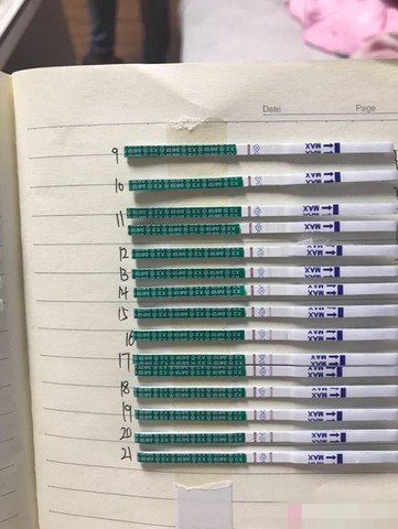 journal_insert_pic_989098300