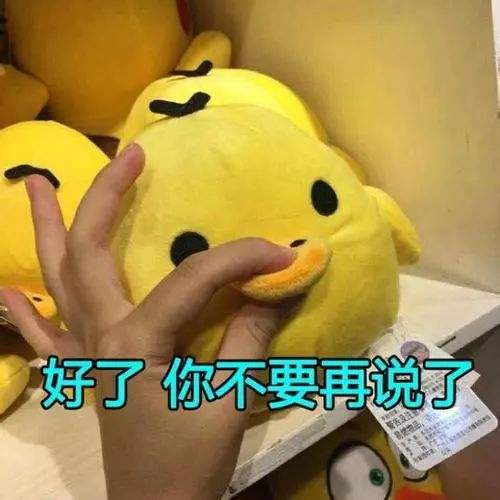 journal_insert_pic_1021834447