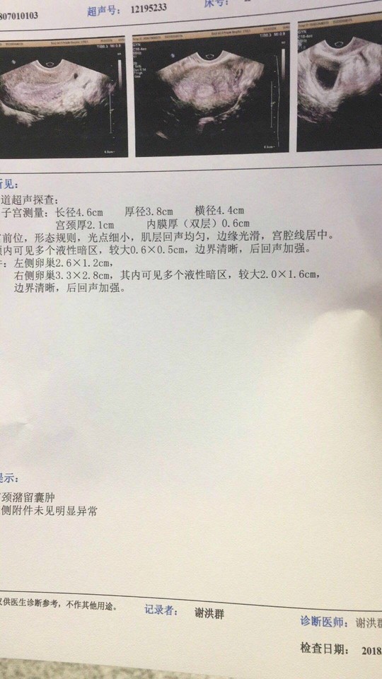 journal_insert_pic_1075052973
