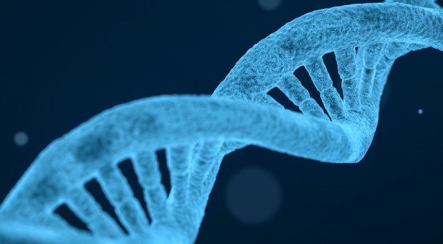 全身光子嫩肤的价格