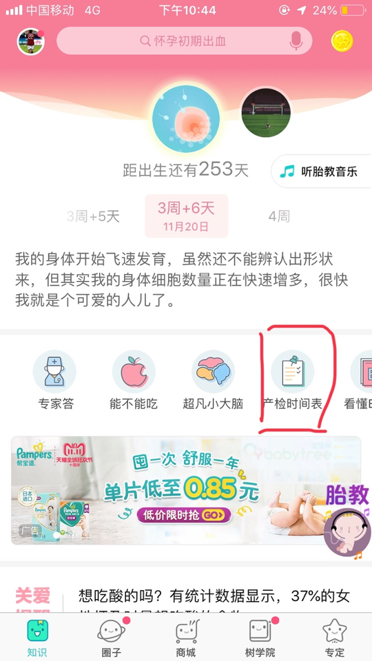 journal_insert_pic_1133650502