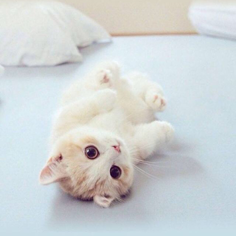 有啥办法止住孕吐,_吃啥吐啥,要吐出来才舒服,_宝宝树