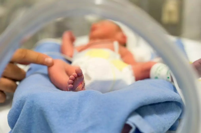 孕妈妈怀孕6周后就可以_宝宝树
