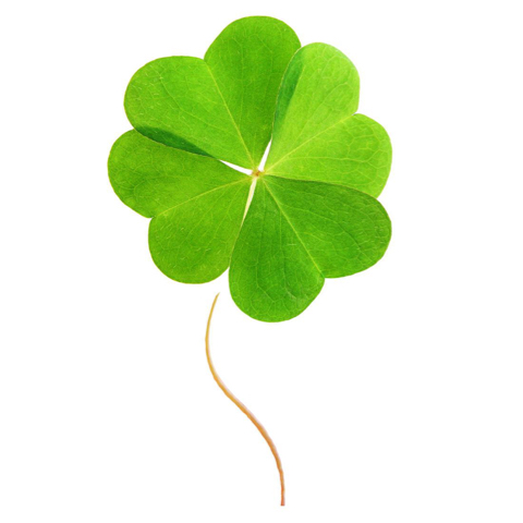 微心d158361616的个人中心 - babytree 宝宝树